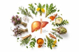 How Healthy Day Supplements’ Liver Cleanse Supports Liver Health Naturally