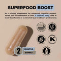 Lion Mane Mushroom Supplement Organic for Optimal Brain Focus - Healthy Day Supplements