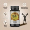 Lion Mane Mushroom Supplement Organic for Optimal Brain Focus - Healthy Day Supplements