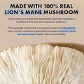 Lion Mane Mushroom Supplement Organic for Optimal Brain Focus - Healthy Day Supplements
